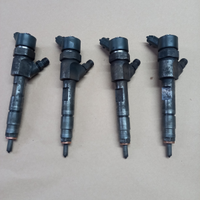 Iniettori renault 1.9 CDi bosch 0445110 110B