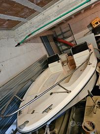 Barca 5mt completa di carrello, motore e cuscini