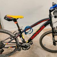 bicicletta lombardo 