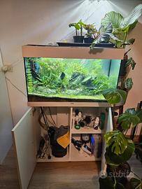 Acquario Juwel Rio 125 2025 con mobile 