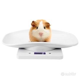 Bilancia digitale per animali domestici, bilancia