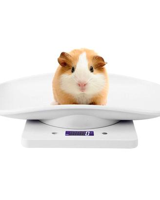 Bilancia digitale per animali domestici, bilancia