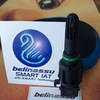 Smart IAT Bellinassu - BMW