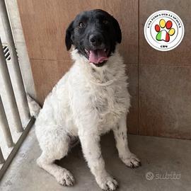 SIENNA dagli occhi dolci