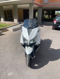 Tmax 530
