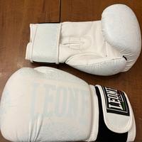 Guantoni boxe Leone