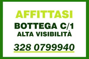 Catania Via Due Obelischi Bottega Alta Visibilità