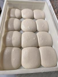 Pizzaiolo con esperienza