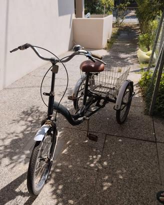 Bici tre ruote/Triciclo Rosolina mare