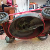 macchinetta per prato