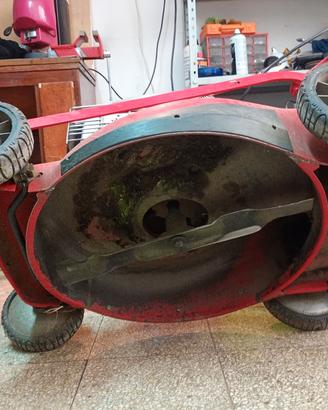 macchinetta per prato