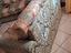 Immagine 2