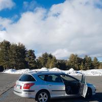 Ricambi per Peugeot 407 sw