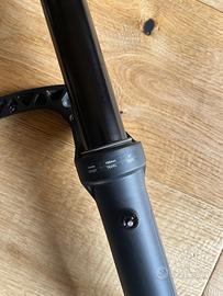 Forcella lyrik select