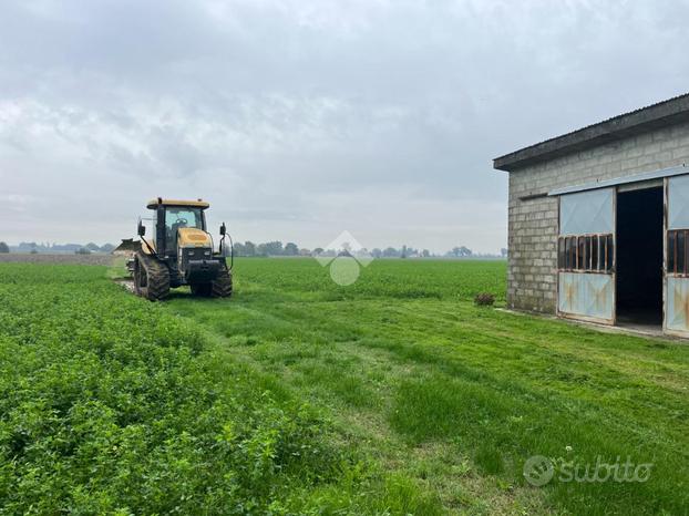 TER. AGRICOLO A FERRARA