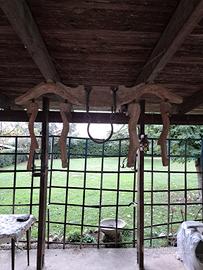 giogo doppio per buoi