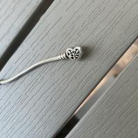 Beacciale pandora