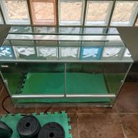 AQL Terrario in Vetro