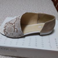 scarpa geox  