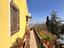 Immagine 7