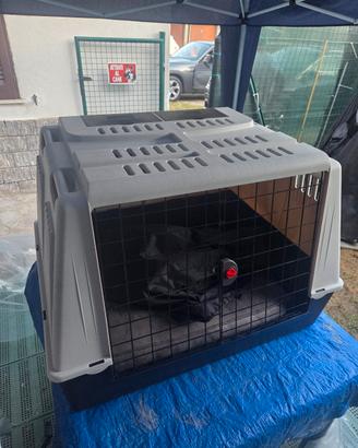 Gabbia Kennel 
