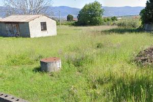 Terreno frazione acconia di Curinga