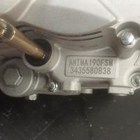 Motore  Daytona 190 per moto Ohvale GP2