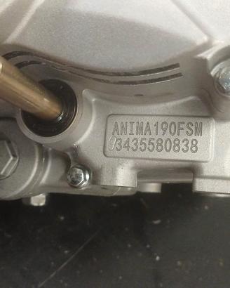 Motore  Daytona 190 per moto Ohvale GP2