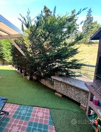 Appartamento con giardino - Chiesanuova (RSM)