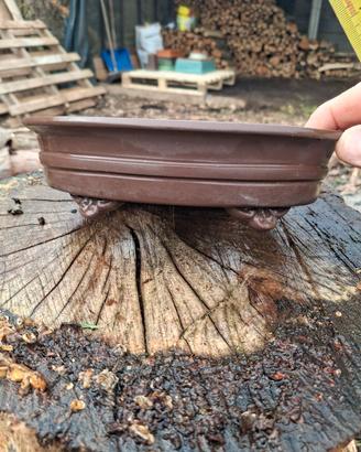 vaso bonsai 