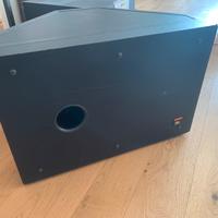 Subwoofer professionale