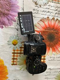 Gh5 Lumix