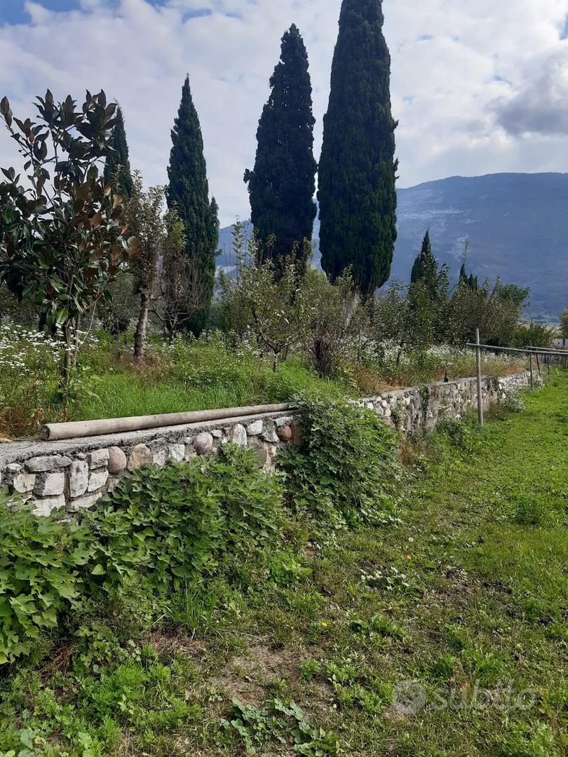 Terreno agricolo terrazzato con imp. irrigazione - Vista 2