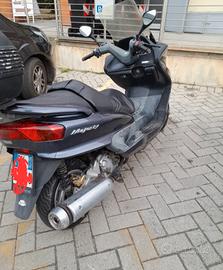 Majesty Yamaha 250 cc