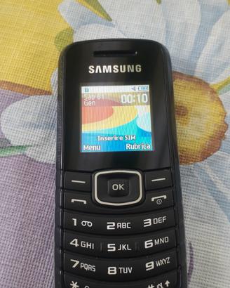 cellulare Samsung GT E1080W 