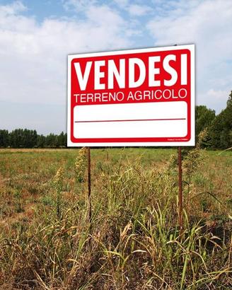 Terreno di 1000 m² a Milano