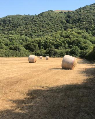 Balloni fieno