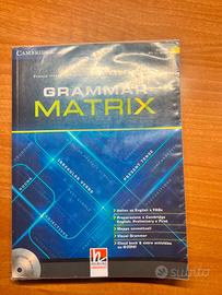 Libro Grammar Matrix