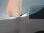 Immagine 21
