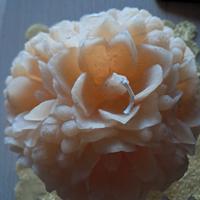 candela sped solo poste 