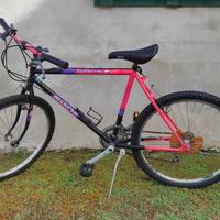 Mountain bike Bianchi Predator 2