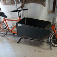 Bici da trasporto - cargobike - bici con cassone