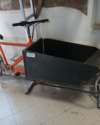 Bici da trasporto - cargobike - bici con cassone