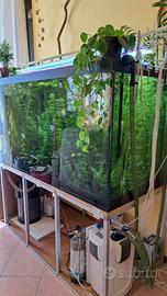 acquario artigianale stupendo 640 litri