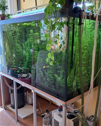 acquario artigianale stupendo 640 litri