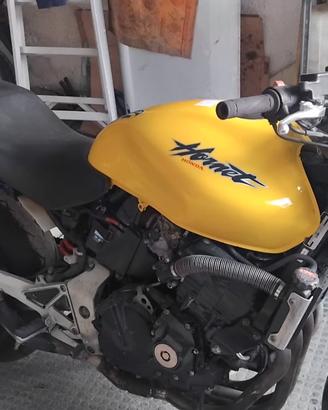 Hornet 600