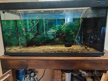 acquario 200lt