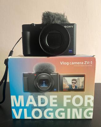 Sony zv1