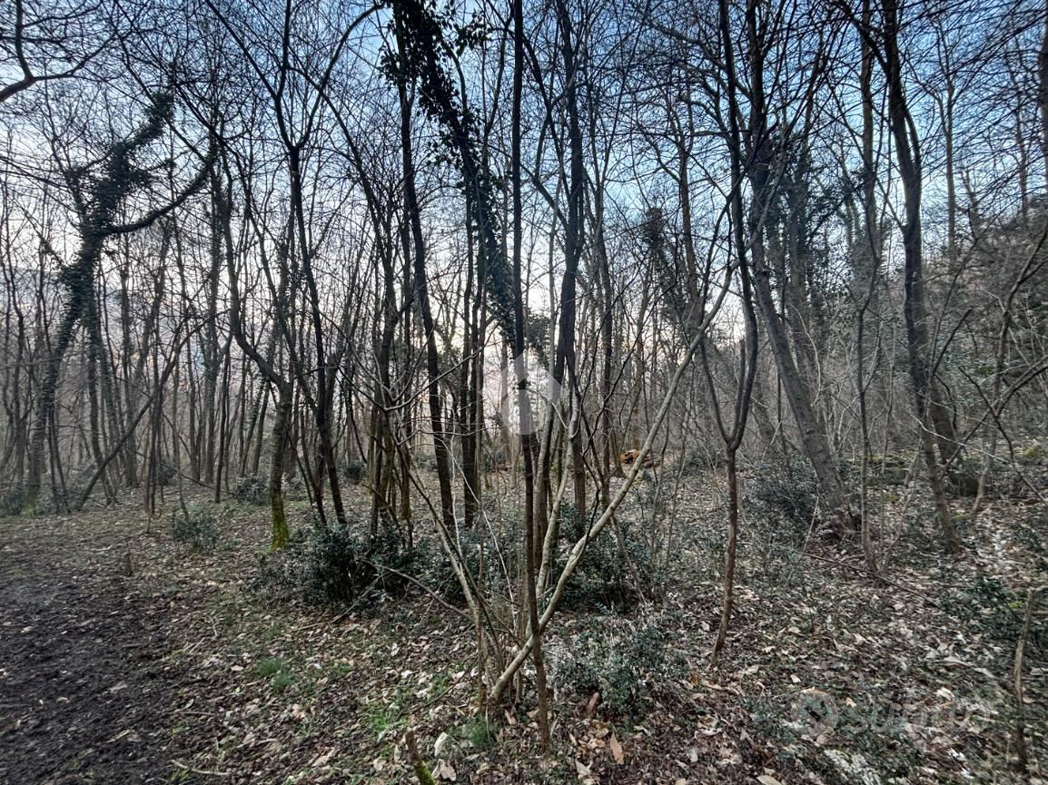 TER. AGRICOLO A LIERNA - Vista 3