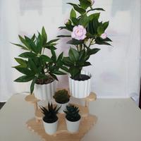 espositore in legno per arredi